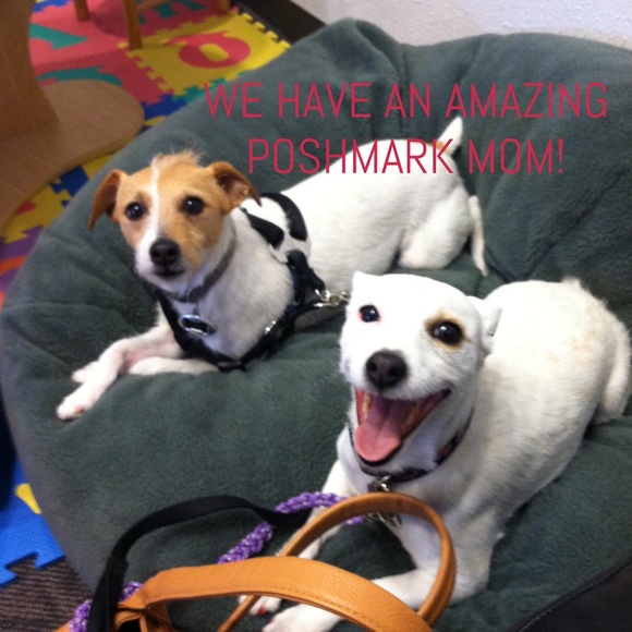 Meet your Posher, Susan - Picture 5 of 8